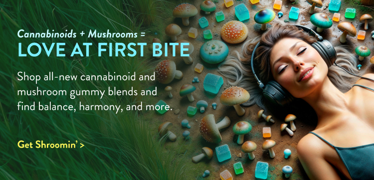 Collection - New Mushroom Gummies