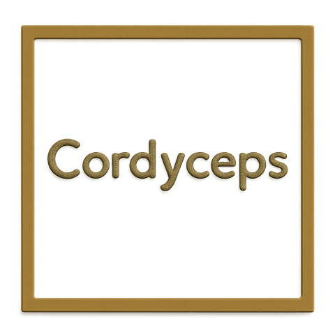 Cordyceps Products