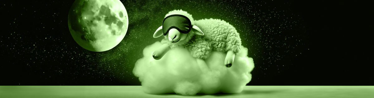 What is CBN? Your Guide to the Sleep Cannabinoid