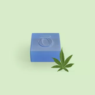 CBN Gummies