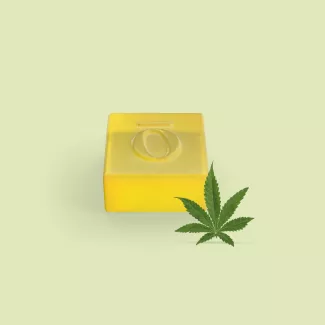 Delta 10 Gummies