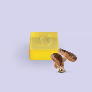 Mushroom Gummies