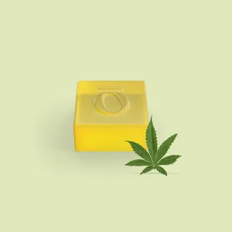 Delta 10 Gummies