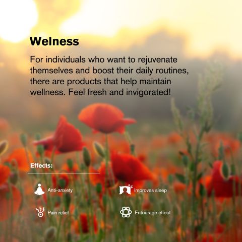 50mg CBD Nano Tablets - Green Apple - Thumbnail 7