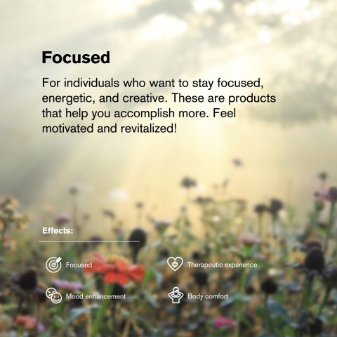 25 - CBC Nano - Tablets - Unflavored - Thumbnail 7