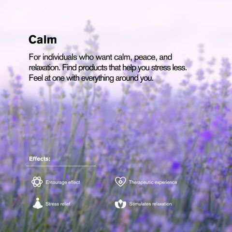 25mg - Broad Spectrum CBD Nano - Tablets - Grape - Thumbnail 7