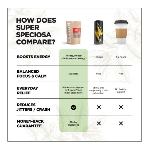 100g - Kratom - Powder - Chill Plus - Thumbnail 3