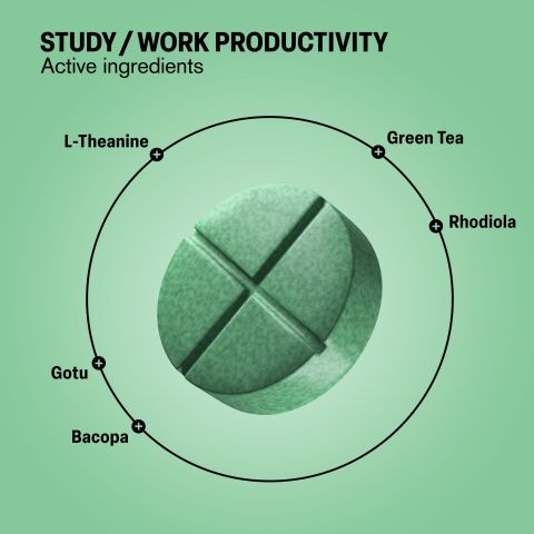 Study Work Productivity Tablets - Bacopa, Gotu, Green Tea, L-Theanine, Rhodiola - Thumbnail 5
