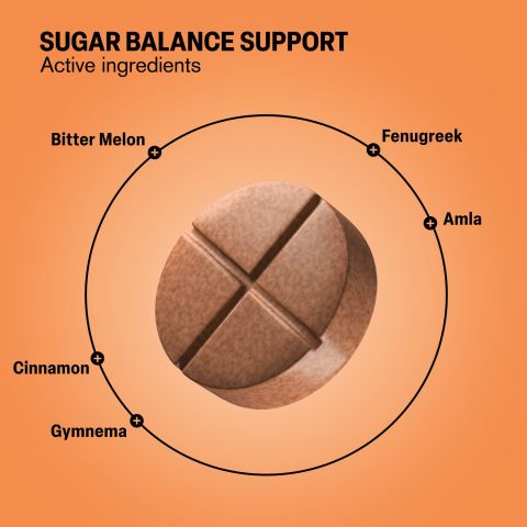 Sugar Balance Support Tablets - Amla, Bitter Melon, Cinnamon, Fenugreek, Gymnema - Thumbnail 5