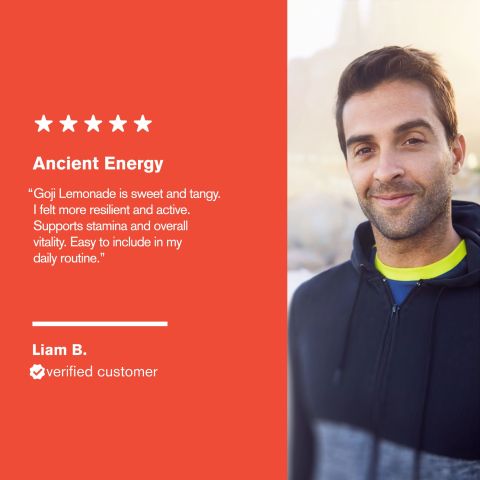 Asian Vitality Blend Tablets - Amla, Astragalus, Goji, Panax, Shilajit - Thumbnail 7