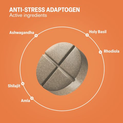 Anti-Stress Tablets - Amla, Ashwagandha, Holy Basil, Rhodiola, Shilajit - Thumbnail 5