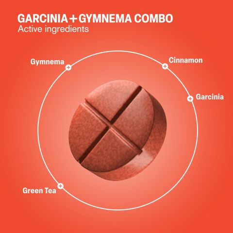 Garcinia + Gymnema Combo Tablets - Cinnamon, Garcinia, Green Tea, Gymnema - Thumbnail 5