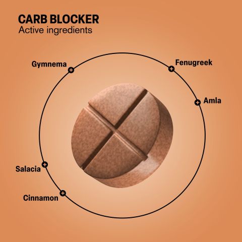 Carb Blocker Tablets - Amla, Cinnamon, Fenugreek, Gymnema, Salacia - Thumbnail 5