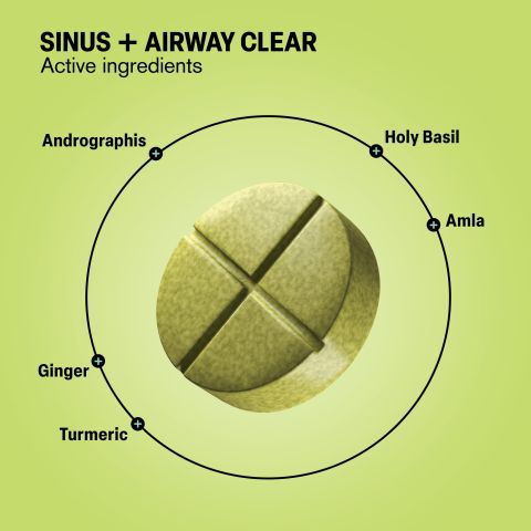 Sinus + Airway Clear Tablets - Amla, Andrographis, Ginger, Holy Basil, Turmeric - Thumbnail 5
