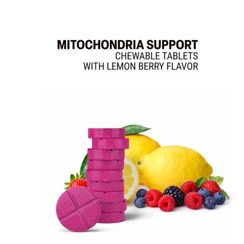 Mitochondria Support Herb Mix Tablets - Amla, CoQ10 Herb Mix, Green Tea, Panax, Rhodiola - Thumbnail 4