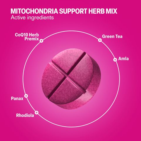 Mitochondria Support Herb Mix Tablets - Amla, CoQ10 Herb Mix, Green Tea, Panax, Rhodiola - Thumbnail 5