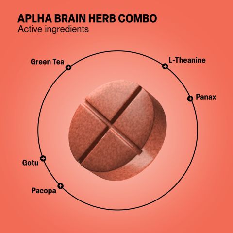 Alpha Brain Herb Combo Tablets - Bacopa, Gotu, Green Tea, L-Theanine, Panax - Thumbnail 5