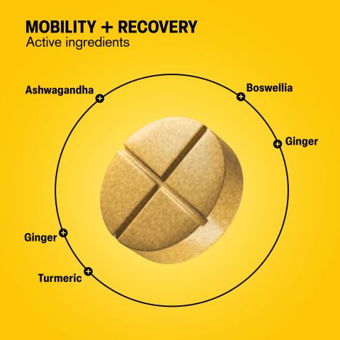 Mobility + Recovery Tablets - Amla, Ashwagandha, Boswellia, Ginger, Turmeric - Thumbnail 5
