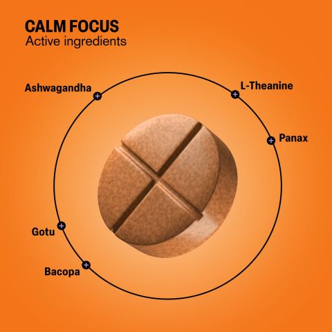 Calm Focus Tablets - Amla, Ashwagandha, Bacopa, Gotu, L-Theanine - Thumbnail 5