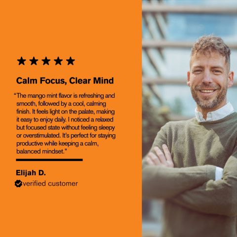 Calm Focus Tablets - Amla, Ashwagandha, Bacopa, Gotu, L-Theanine - Thumbnail 7