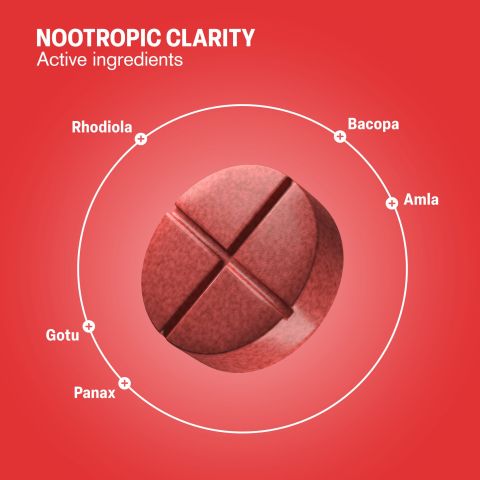 Nootropic Clarity Tablets - Amla, Bacopa, Gotu, Panax, Rhodiola - Thumbnail 5
