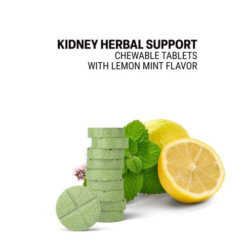 Kidney Herbal Support Tablets - Amla, Coriander, Dandelion, Ginger, Punarnava - Thumbnail 4