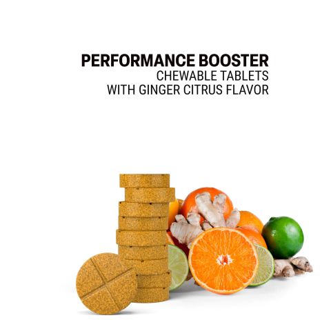 Performance Booster Tablets - Ginger, Panax, Safed Musli, Shilajit, Tribulus - Thumbnail 4