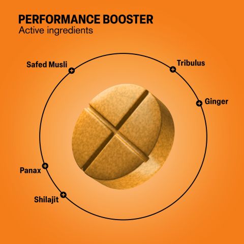 Performance Booster Tablets - Ginger, Panax, Safed Musli, Shilajit, Tribulus - Thumbnail 5