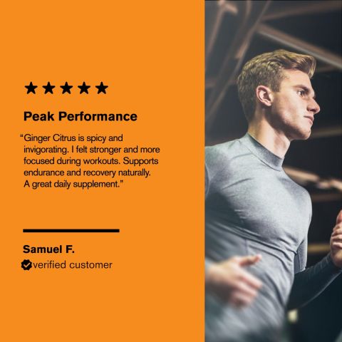 Performance Booster Tablets - Ginger, Panax, Safed Musli, Shilajit, Tribulus - Thumbnail 7