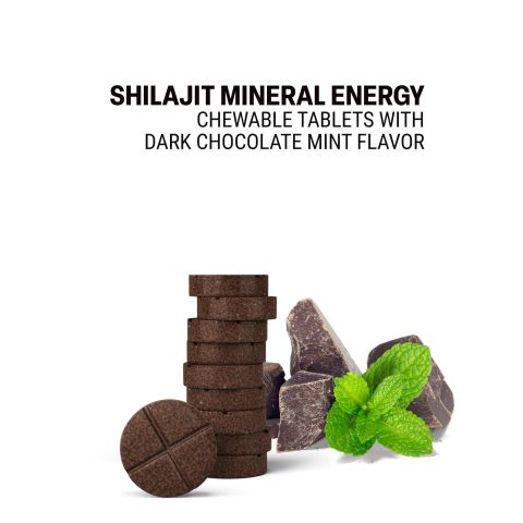 Shilajit Mineral Energy Tablets - Amla, Ashwagandha, Astragalus, Panax, Shilajit - Thumbnail 4