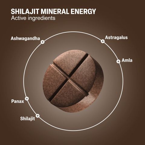 Shilajit Mineral Energy Tablets - Amla, Ashwagandha, Astragalus, Panax, Shilajit - Thumbnail 5