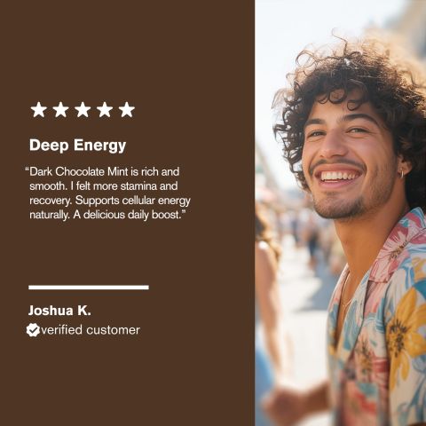 Shilajit Mineral Energy Tablets - Amla, Ashwagandha, Astragalus, Panax, Shilajit - Thumbnail 7