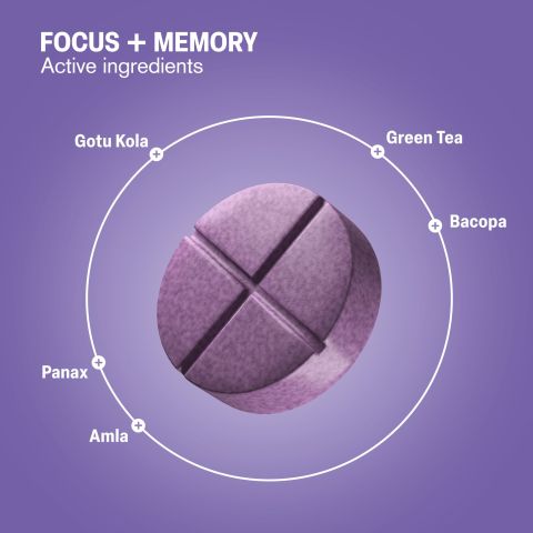 Focus + Memory Tablets - Amla, Bacopa, Gotu Kola, Green Tea, Panax - Thumbnail 5