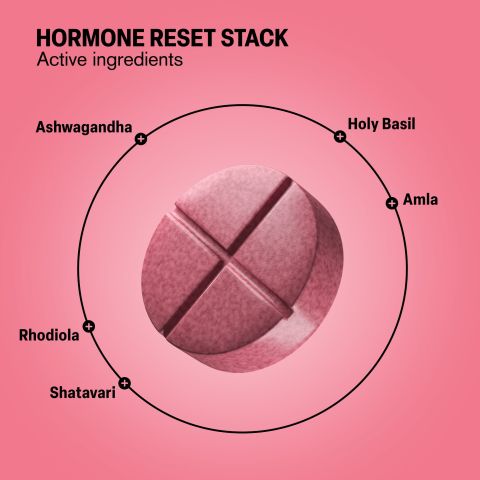 Hormone Reset Stack Tablets - Amla, Ashwagandha, Holy Basil, Rhodiola, Shatavari - Thumbnail 5