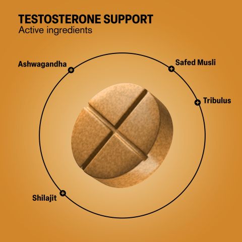 Testosterone Support Tablets - Ashwagandha, Safed Musli, Shilajit, Tribulus - Thumbnail 5