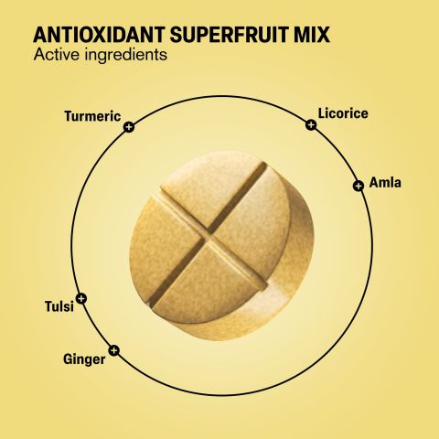 Cold Season Support Tablets - Amla, Ginger, Licorice, Tulsi, Turmeric - Thumbnail 5