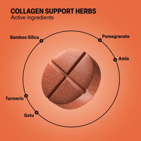 Collagen Support Herbs Tablets - Amla, Bamboo Silica, Gotu, Pomegranate, Turmeric - Thumbnail 5