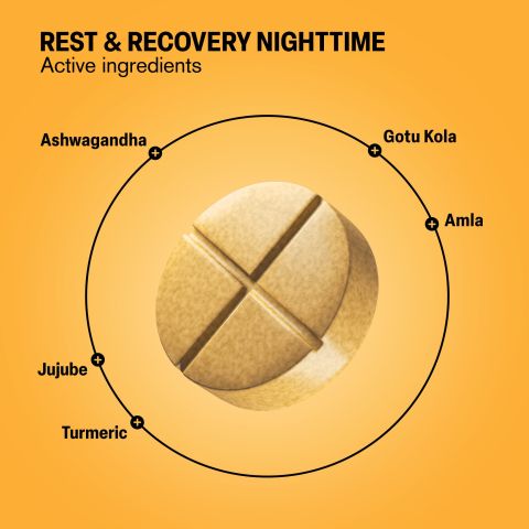 Rest & Recovery Nighttime Tablets - Amla, Ashwagandha, Gotu Kola, Jujube, Turmeric - Thumbnail 5
