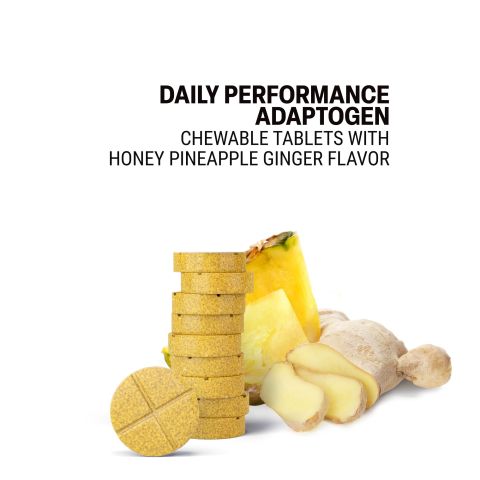 Daily Performance Adaptogen Tablets - Amla, Ashwagandha, Astragalus, Panax, Rhodiola - Thumbnail 4