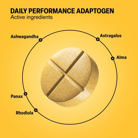 Daily Performance Adaptogen Tablets - Amla, Ashwagandha, Astragalus, Panax, Rhodiola - Thumbnail 5