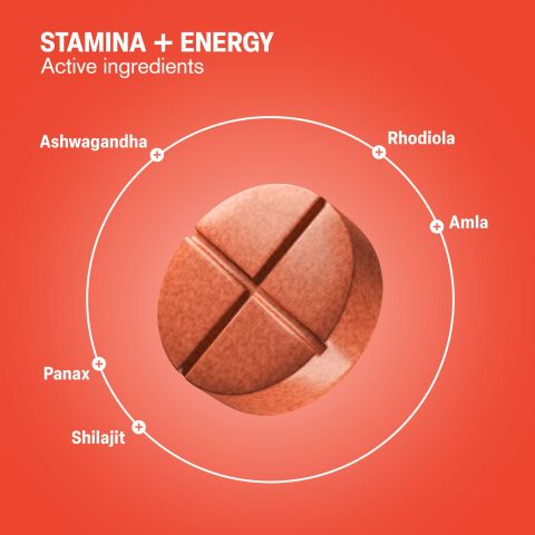 Stamina + Energy Tablets - Amla, Ashwagandha, Panax, Rhodiola, Shilajit - Thumbnail 5
