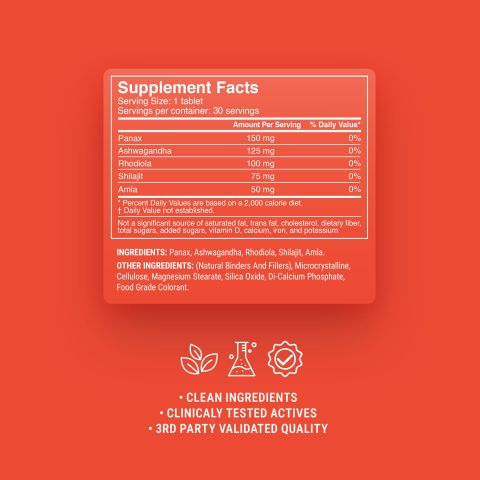 Stamina + Energy Tablets - Amla, Ashwagandha, Panax, Rhodiola, Shilajit - Thumbnail 9