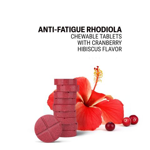 Anti-Fatigue Rhodiola Tablets - Amla, Green Tea, Panax, Rhodiola, Schisandra - Thumbnail 4