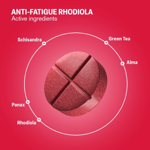 Anti-Fatigue Rhodiola Tablets - Amla, Green Tea, Panax, Rhodiola, Schisandra - Thumbnail 5