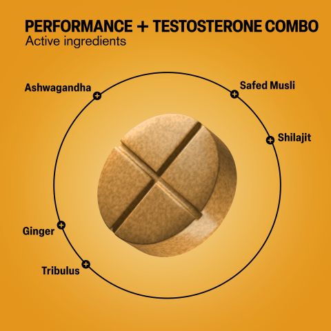 Performance+Testosterone Combo Tablets - Ashwagandha, Ginger, Safed Musli, Shilajit, Tribulus - Thumbnail 5