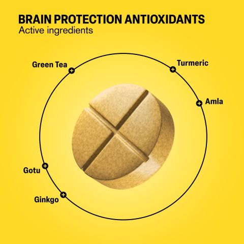 Brain Protection Antioxidants Tablets - Amla, Ginkgo, Gotu, Green Tea, Turmeric - Thumbnail 5