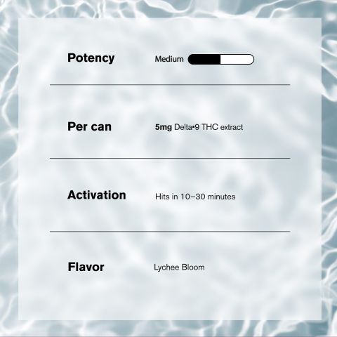 5mg Lychee Bloom THC Seltzer - Delta 9 - Fresh - Thumbnail 5