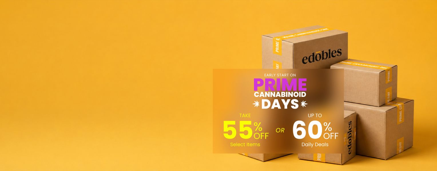 Homepage - Leaderboard - Prime Days