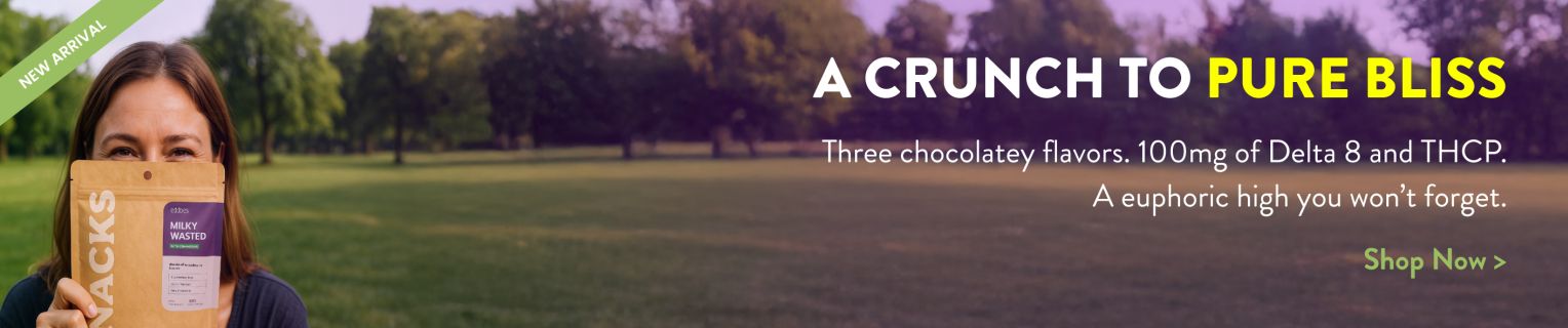 Collection - New Waffle Cones