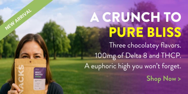 Collection - New Waffle Cones